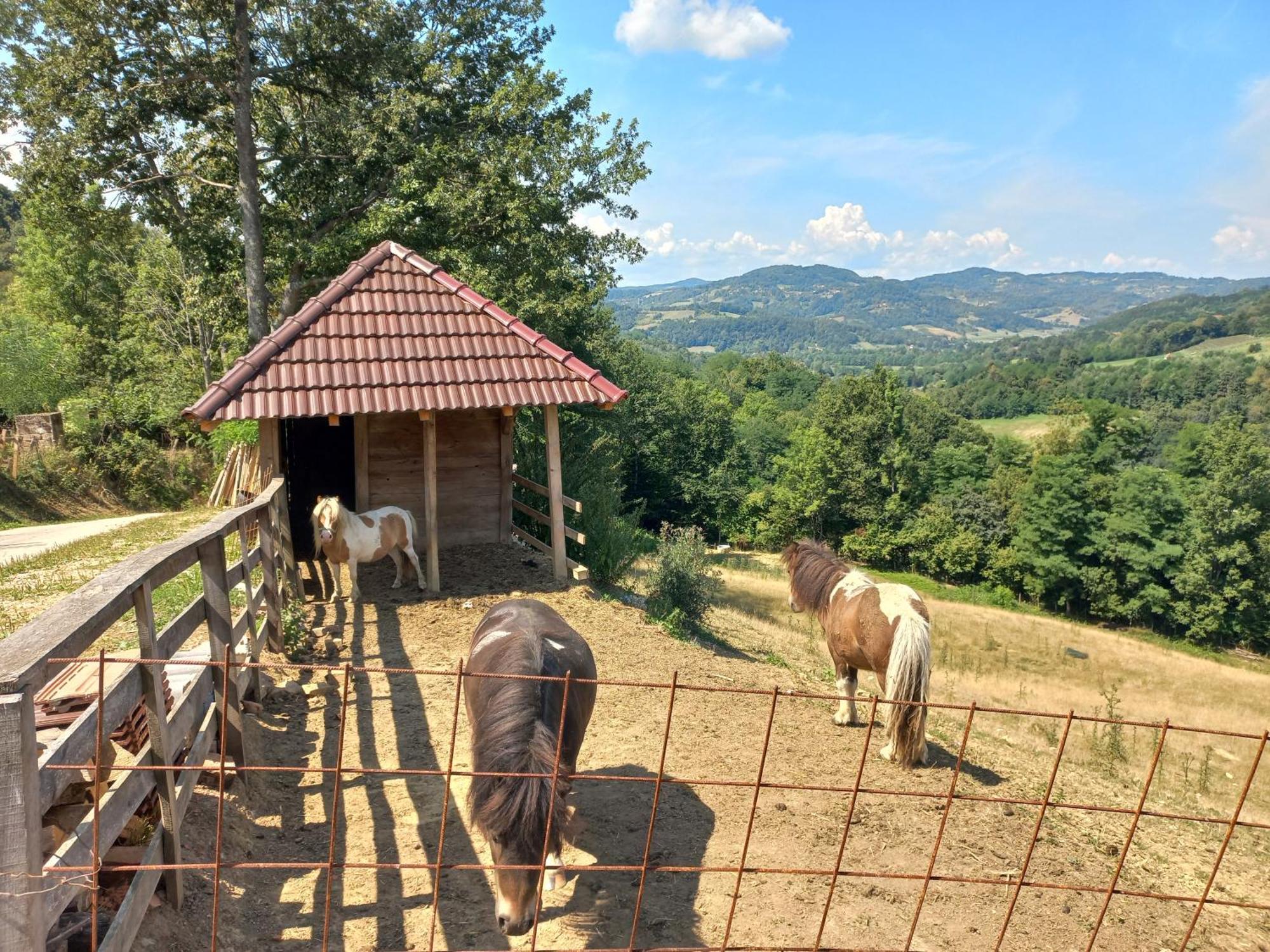 Guča Apartman 1 Nase Brdoヴィラ エクステリア 写真