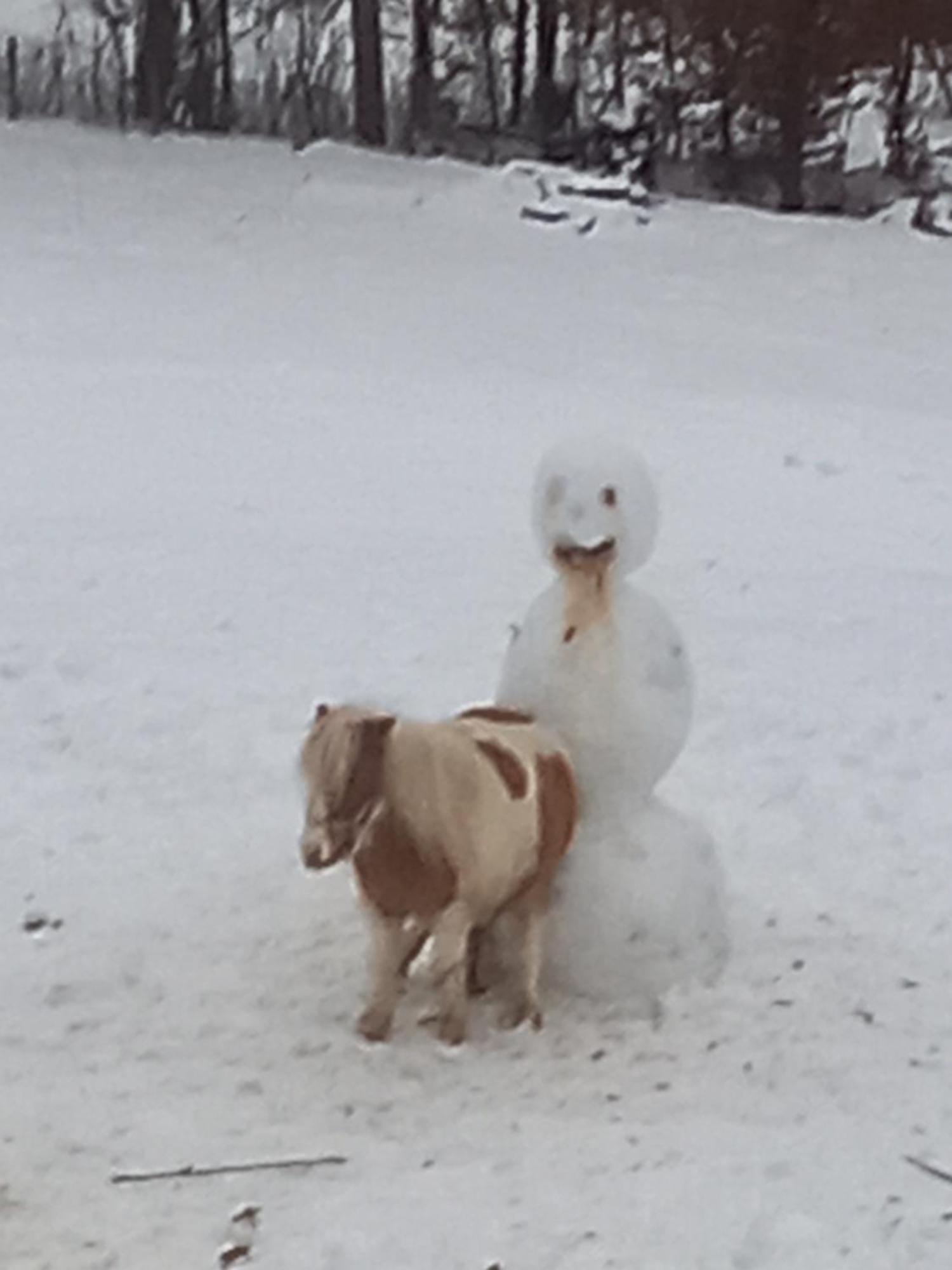 Guča Apartman 1 Nase Brdoヴィラ エクステリア 写真